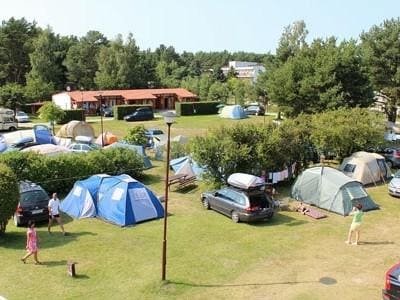 pole na campingu